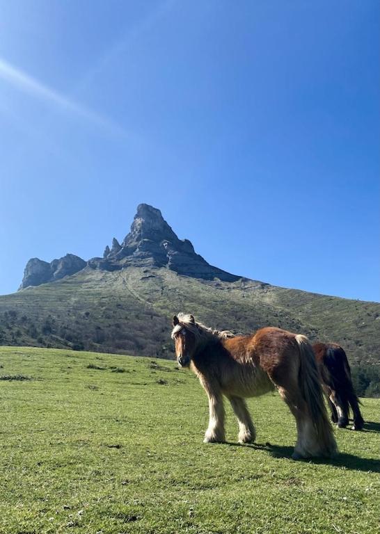 Casa Rural Arteondo Orduña Eksteriør bilde