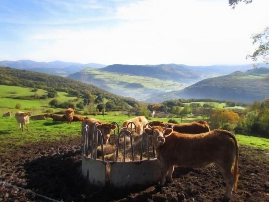 Casa Rural Arteondo Orduña Eksteriør bilde